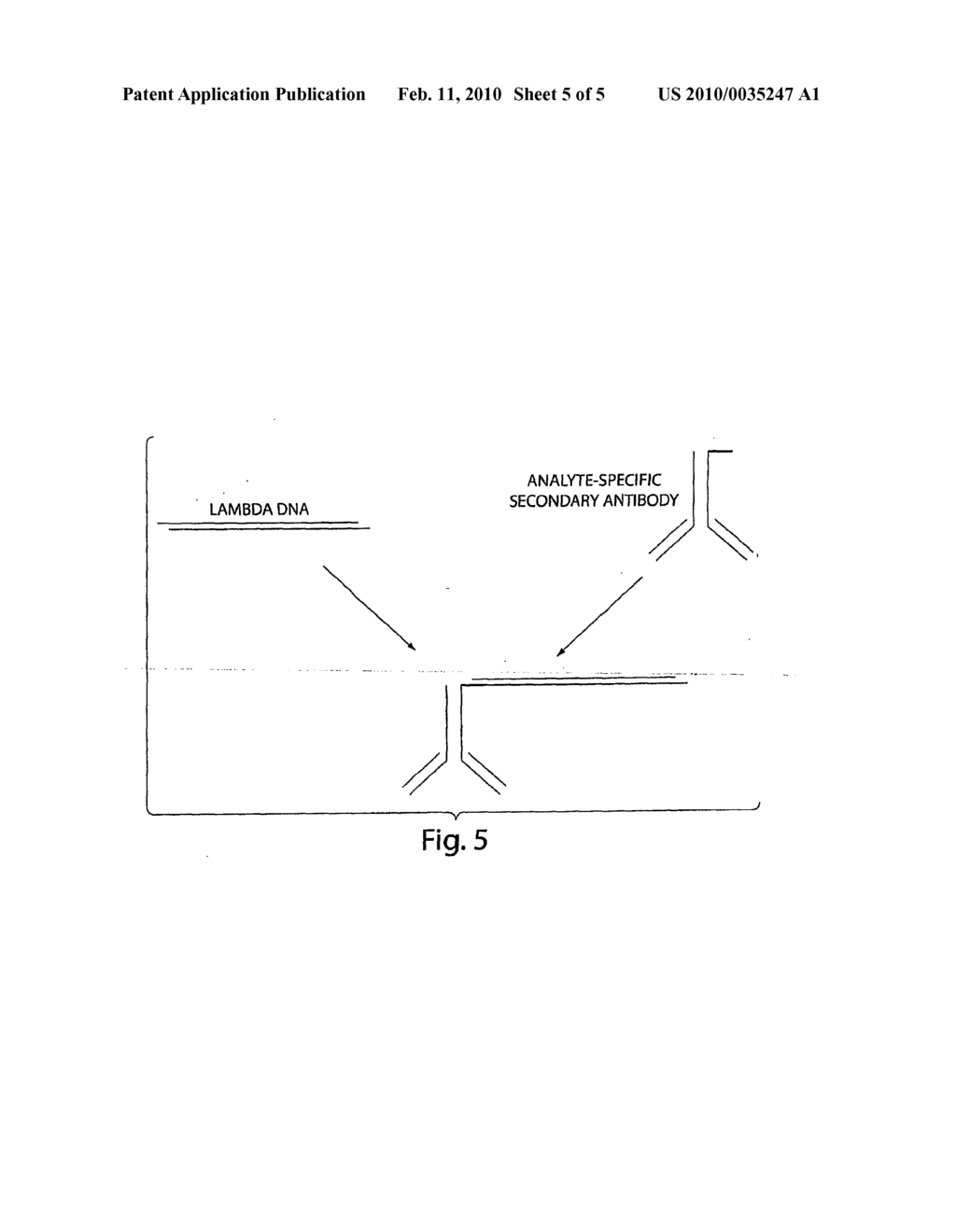 Heterogeneous Assay of Analytes in Solution Using Polymers - diagram, schematic, and image 06