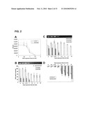 USE OF PHENANTHRIDIUM DERIVATIVES FOR DISTINGUISHING BETWEEN INTACT AND MEMBRANE COMPROMISED CELLS USING MOLECULAR NUCLEIC ACID-BASED TECHNIQUES diagram and image