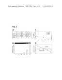 USE OF PHENANTHRIDIUM DERIVATIVES FOR DISTINGUISHING BETWEEN INTACT AND MEMBRANE COMPROMISED CELLS USING MOLECULAR NUCLEIC ACID-BASED TECHNIQUES diagram and image