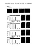 USE OF PHENANTHRIDIUM DERIVATIVES FOR DISTINGUISHING BETWEEN INTACT AND MEMBRANE COMPROMISED CELLS USING MOLECULAR NUCLEIC ACID-BASED TECHNIQUES diagram and image