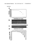 USE OF PHENANTHRIDIUM DERIVATIVES FOR DISTINGUISHING BETWEEN INTACT AND MEMBRANE COMPROMISED CELLS USING MOLECULAR NUCLEIC ACID-BASED TECHNIQUES diagram and image