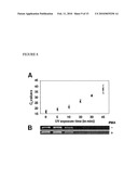 USE OF PHENANTHRIDIUM DERIVATIVES FOR DISTINGUISHING BETWEEN INTACT AND MEMBRANE COMPROMISED CELLS USING MOLECULAR NUCLEIC ACID-BASED TECHNIQUES diagram and image