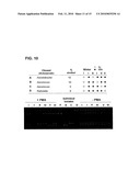 USE OF PHENANTHRIDIUM DERIVATIVES FOR DISTINGUISHING BETWEEN INTACT AND MEMBRANE COMPROMISED CELLS USING MOLECULAR NUCLEIC ACID-BASED TECHNIQUES diagram and image