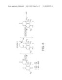 Methods And Compositions For Incorporating Nucleotides diagram and image