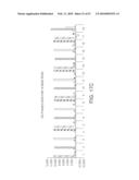 Methods And Compositions For Incorporating Nucleotides diagram and image