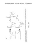 Methods And Compositions For Incorporating Nucleotides diagram and image