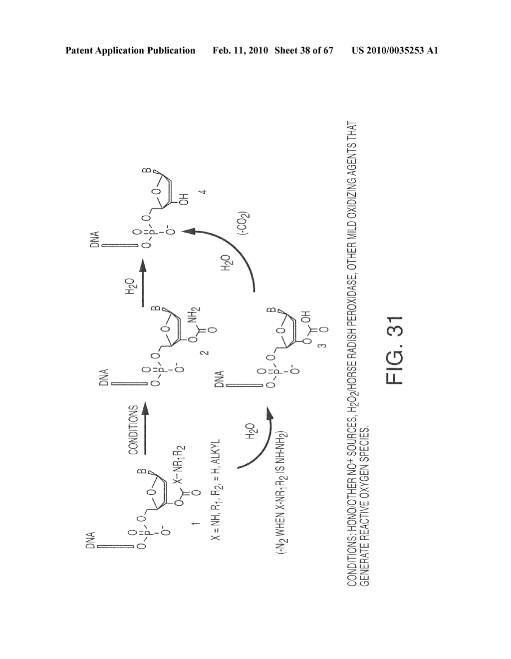 Methods And Compositions For Incorporating Nucleotides - diagram, schematic, and image 39