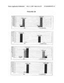 Methods And Compositions For Incorporating Nucleotides diagram and image