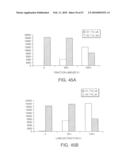 Methods And Compositions For Incorporating Nucleotides diagram and image