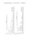 Methods And Compositions For Incorporating Nucleotides diagram and image