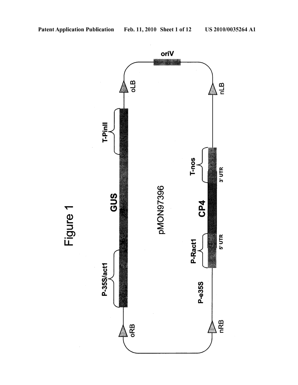 METHODS AND VECTORS FOR PRODUCING TRANSGENIC PLANTS - diagram, schematic, and image 02