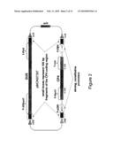 METHODS AND VECTORS FOR PRODUCING TRANSGENIC PLANTS diagram and image