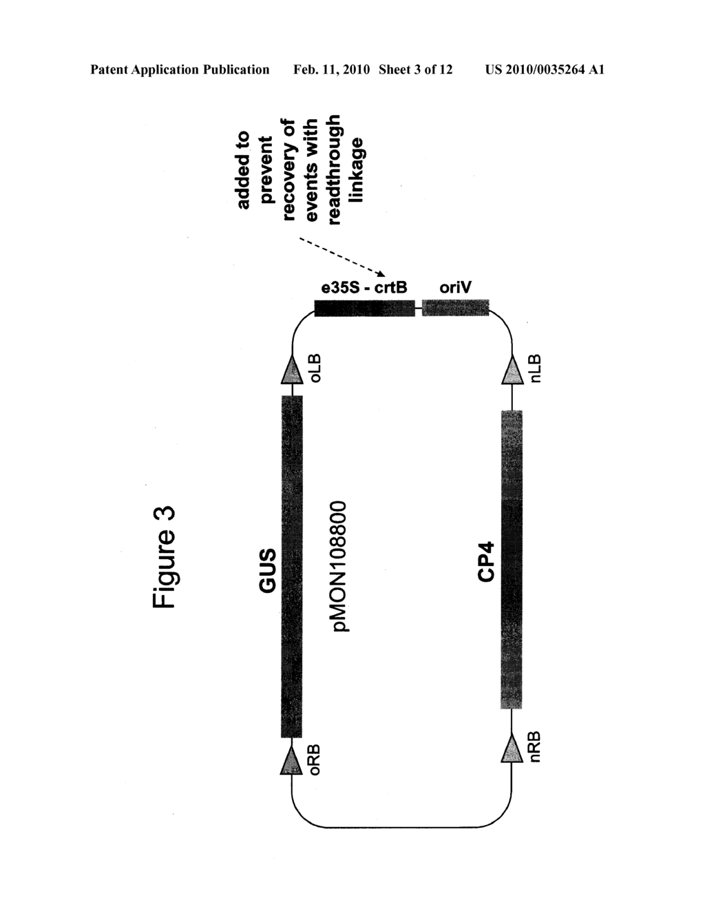 METHODS AND VECTORS FOR PRODUCING TRANSGENIC PLANTS - diagram, schematic, and image 04