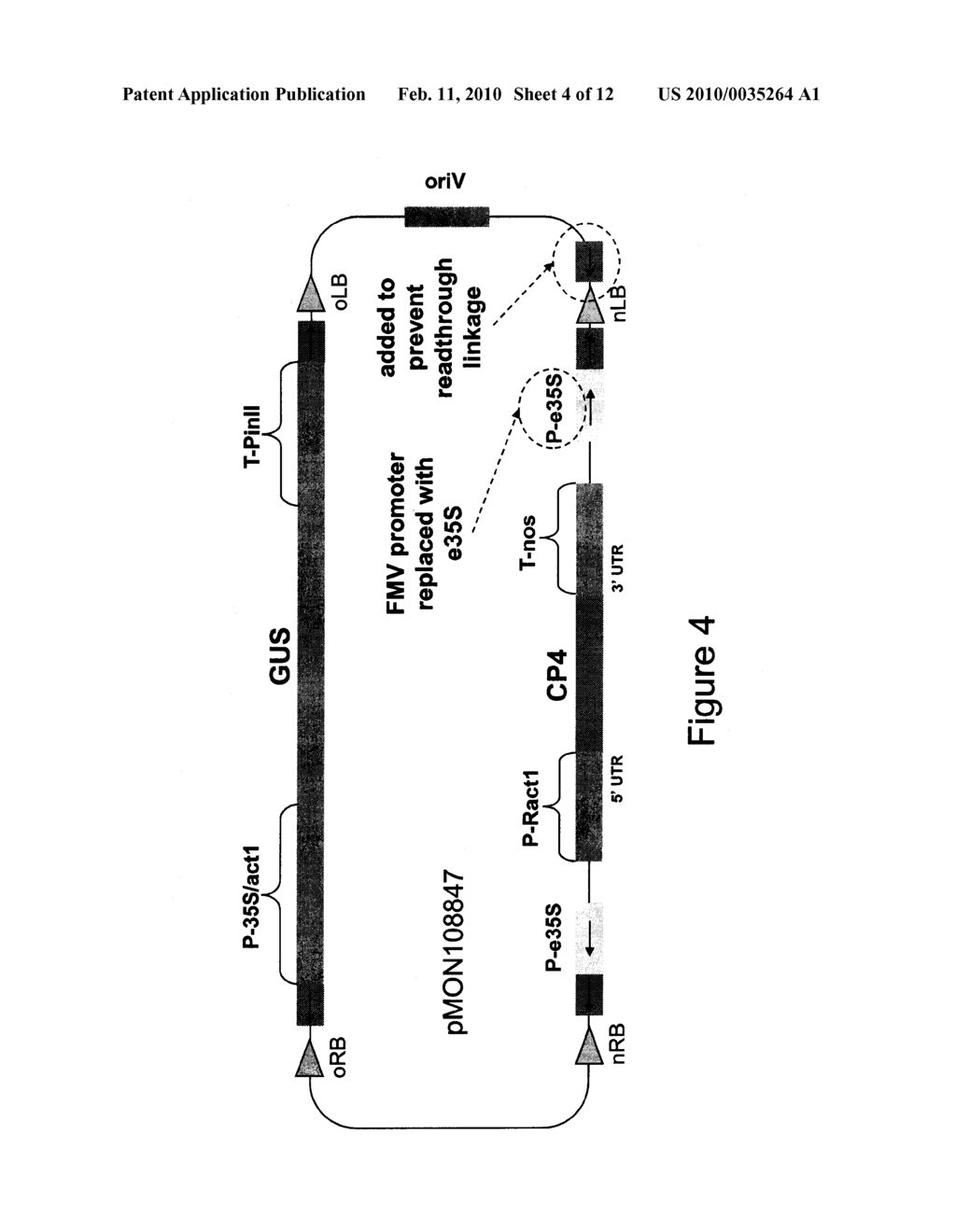 METHODS AND VECTORS FOR PRODUCING TRANSGENIC PLANTS - diagram, schematic, and image 05