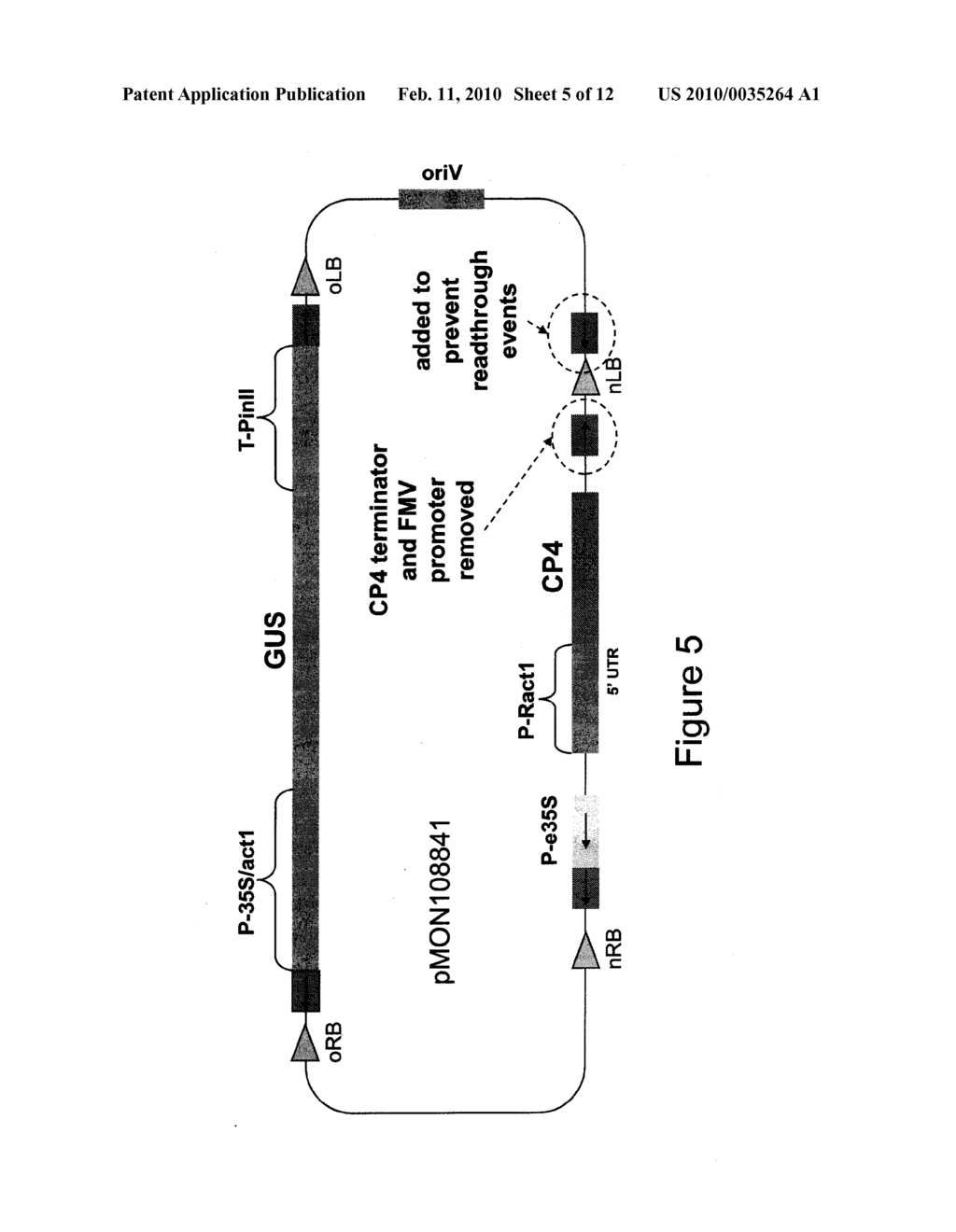 METHODS AND VECTORS FOR PRODUCING TRANSGENIC PLANTS - diagram, schematic, and image 06