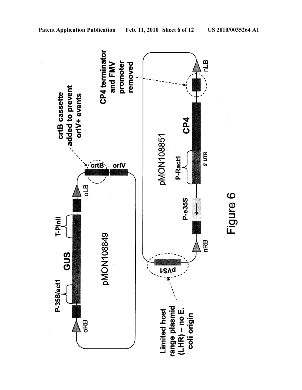 METHODS AND VECTORS FOR PRODUCING TRANSGENIC PLANTS - diagram, schematic, and image 07