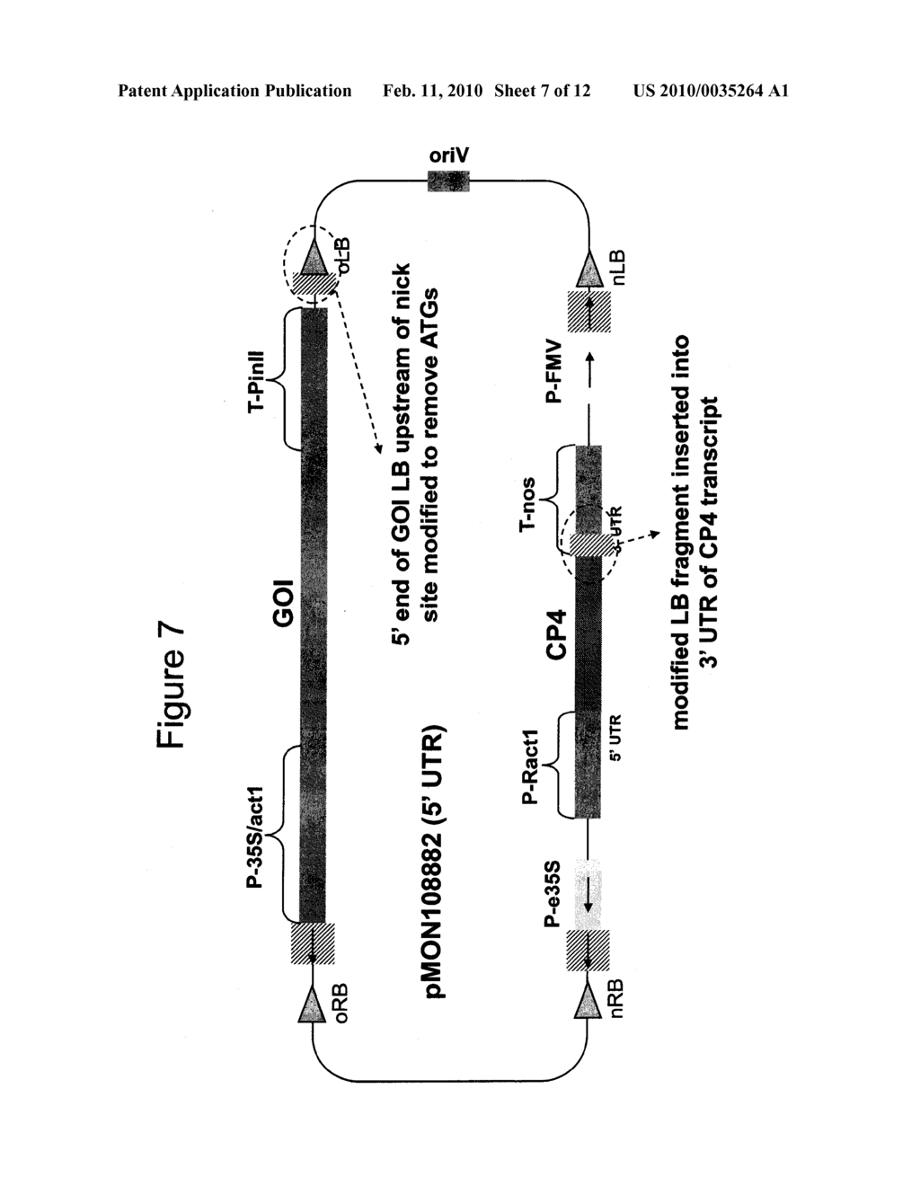 METHODS AND VECTORS FOR PRODUCING TRANSGENIC PLANTS - diagram, schematic, and image 08