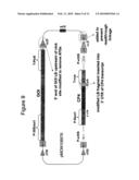 METHODS AND VECTORS FOR PRODUCING TRANSGENIC PLANTS diagram and image