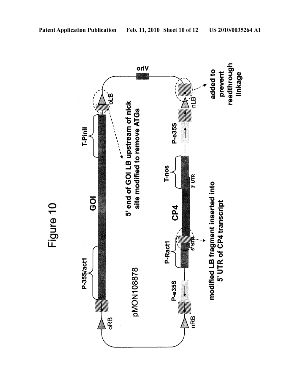 METHODS AND VECTORS FOR PRODUCING TRANSGENIC PLANTS - diagram, schematic, and image 11