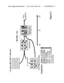 Detection of Individual T-Cell Reaction Patterns Against Tumor-Associated Antigens (TAA) in Tumor Patients as a Basis for the Individual Therapeutic Vaccination of Patients diagram and image