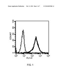 Chimeric Fc-gamma Receptor and Method for Determination of ADCC Activity by Using the Receptor diagram and image