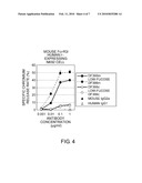 Chimeric Fc-gamma Receptor and Method for Determination of ADCC Activity by Using the Receptor diagram and image