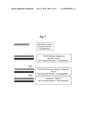 COMPOSITIONS AND METHODS FOR TISSUE-BASED PROTEIN TRUNCATION TEST FOR DISEASE DIAGNOSIS diagram and image