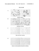 COMPOSITIONS AND METHODS FOR TISSUE-BASED PROTEIN TRUNCATION TEST FOR DISEASE DIAGNOSIS diagram and image