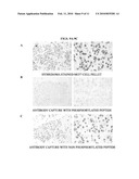 COMPOSITIONS AND METHODS FOR TISSUE-BASED PROTEIN TRUNCATION TEST FOR DISEASE DIAGNOSIS diagram and image