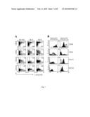 USE OF COMMON GAMMA CHAIN CYTOKINES FOR THE VISUALIZATION, ISOLATION AND GENETIC MODIFICATION OF MEMORY T LYMPHOCYTES diagram and image