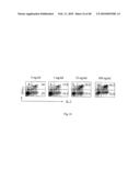 USE OF COMMON GAMMA CHAIN CYTOKINES FOR THE VISUALIZATION, ISOLATION AND GENETIC MODIFICATION OF MEMORY T LYMPHOCYTES diagram and image