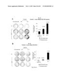 USE OF COMMON GAMMA CHAIN CYTOKINES FOR THE VISUALIZATION, ISOLATION AND GENETIC MODIFICATION OF MEMORY T LYMPHOCYTES diagram and image