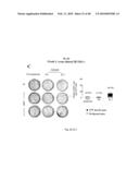 USE OF COMMON GAMMA CHAIN CYTOKINES FOR THE VISUALIZATION, ISOLATION AND GENETIC MODIFICATION OF MEMORY T LYMPHOCYTES diagram and image