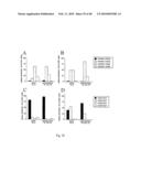 USE OF COMMON GAMMA CHAIN CYTOKINES FOR THE VISUALIZATION, ISOLATION AND GENETIC MODIFICATION OF MEMORY T LYMPHOCYTES diagram and image