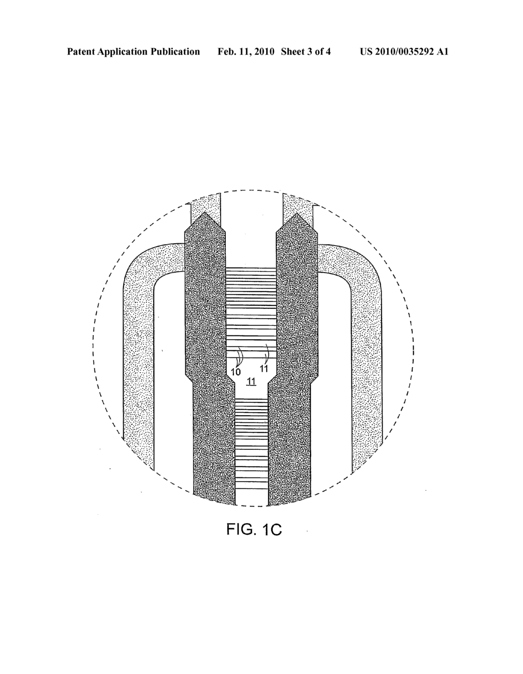 MICROFLUIDIC DEVICE FOR HIGH-THROUGHPUT CELLULAR GRADIENT AND DOSE RESPONSE STUDIES - diagram, schematic, and image 04