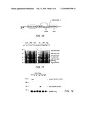 Producing a Target Protein Using Intramolecular Cleavage by TEV Protease diagram and image