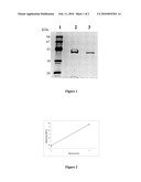 BETA-MANNANASE FROM COFFEE BERRY BORER, HYPOTHENEMUS HAMPEI, AND USES THEREOF diagram and image