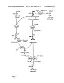 Methionine Synthases with Reduced Product Inhibition diagram and image