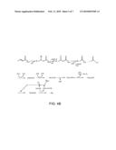 ANALYSIS AND ENHANCEMENT OF METABOLIC PATHWAYS FOR METHANOGENESIS diagram and image