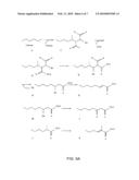 ANALYSIS AND ENHANCEMENT OF METABOLIC PATHWAYS FOR METHANOGENESIS diagram and image