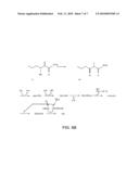 ANALYSIS AND ENHANCEMENT OF METABOLIC PATHWAYS FOR METHANOGENESIS diagram and image