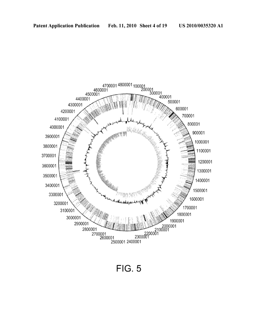 METHODS AND COMPOSITIONS FOR IMPROVING THE PRODUCTION OF PRODUCTS IN MICROORGANISMS - diagram, schematic, and image 05