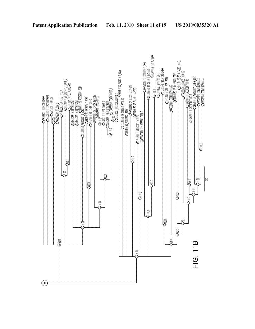 METHODS AND COMPOSITIONS FOR IMPROVING THE PRODUCTION OF PRODUCTS IN MICROORGANISMS - diagram, schematic, and image 12