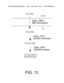 METHODS AND COMPOSITIONS FOR IMPROVING THE PRODUCTION OF PRODUCTS IN MICROORGANISMS diagram and image