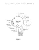 METHODS AND COMPOSITIONS FOR IMPROVING THE PRODUCTION OF PRODUCTS IN MICROORGANISMS diagram and image