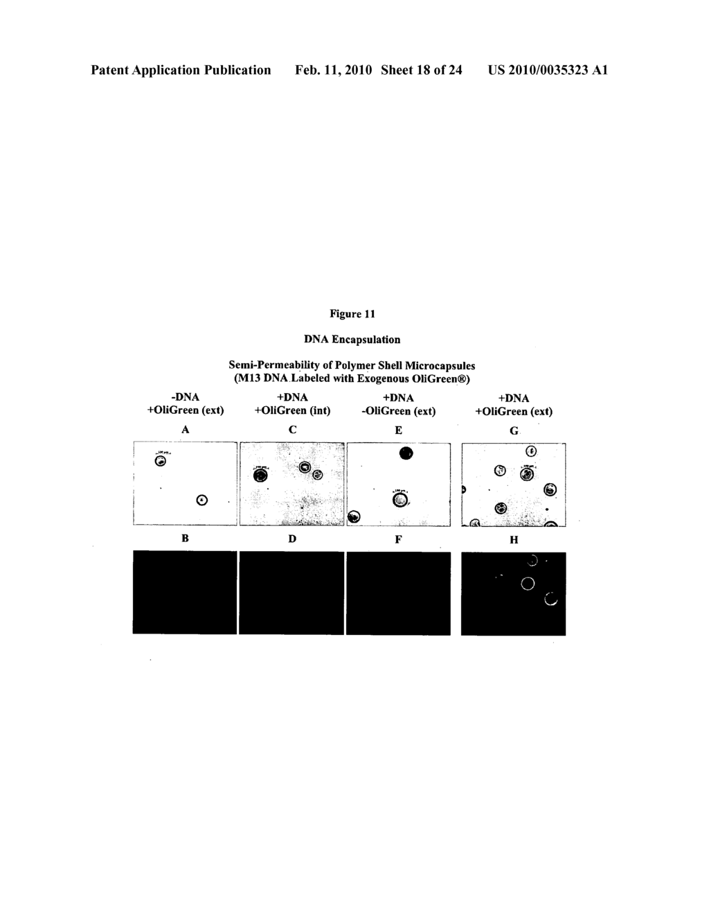 Methods of using a multiple sheath flow device for the production of microcapsules - diagram, schematic, and image 19