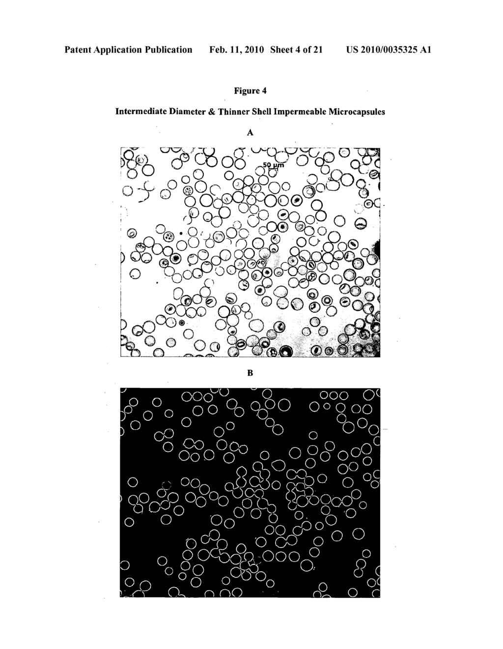 Microcapsules and methods of use for amplification and sequencing - diagram, schematic, and image 05