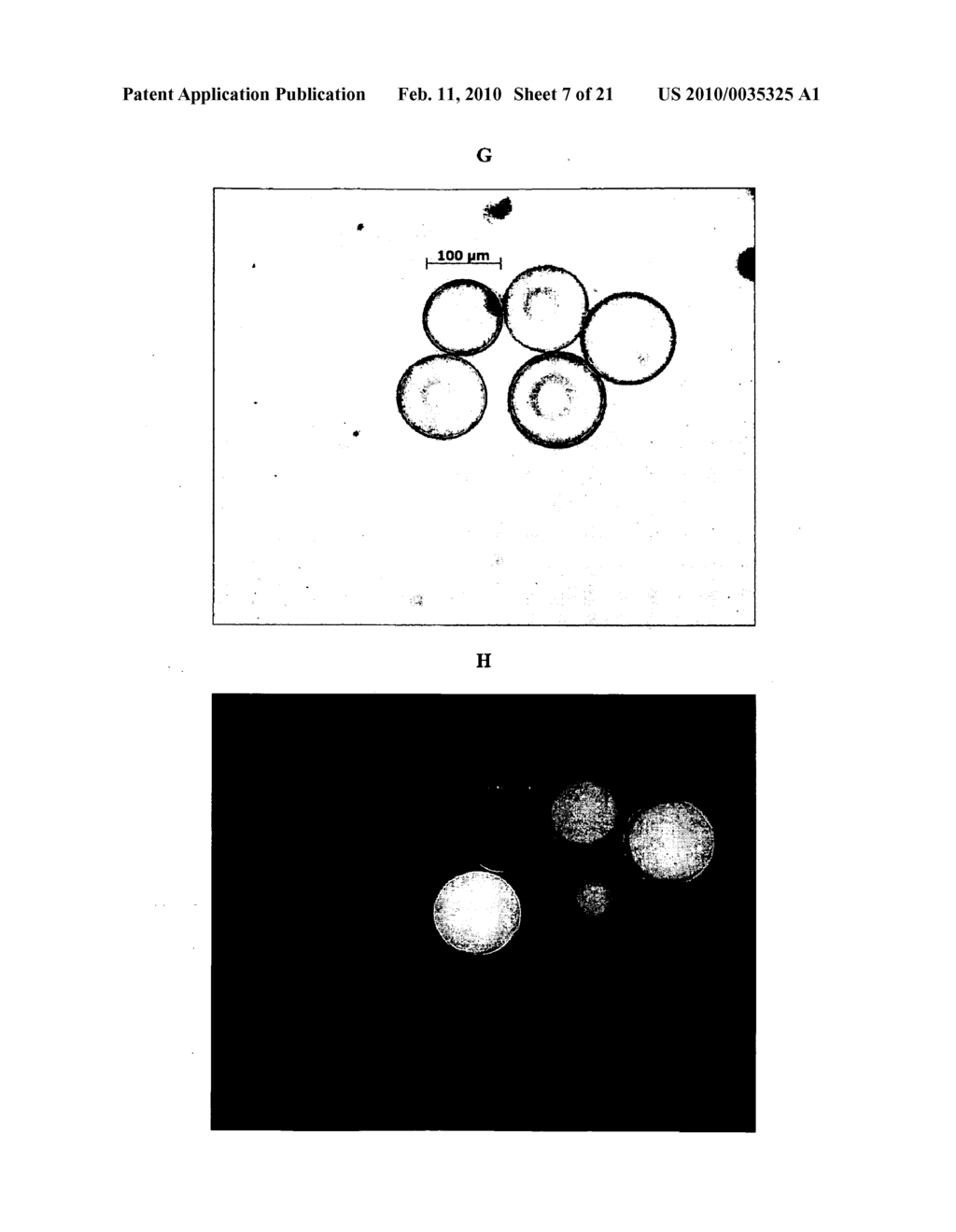 Microcapsules and methods of use for amplification and sequencing - diagram, schematic, and image 08