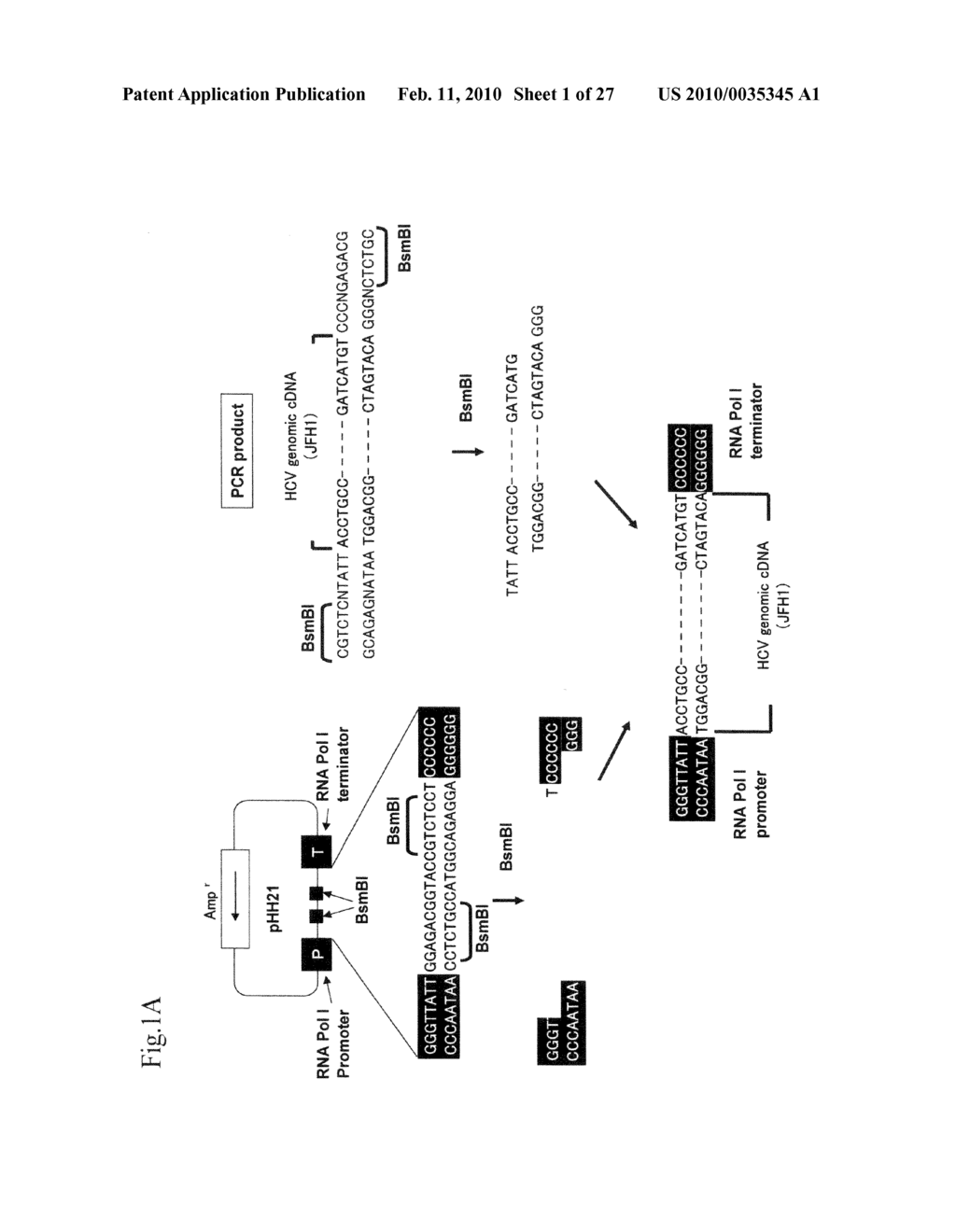 High Production System for Infectious Hepatitis C Virus Particle - diagram, schematic, and image 02