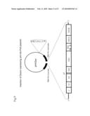 High Production System for Infectious Hepatitis C Virus Particle diagram and image